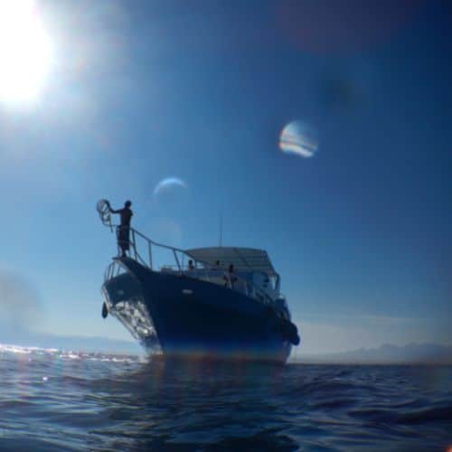 nautisme grand 1 Nautisme - Radical Pro Tech